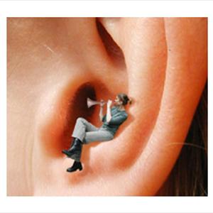 Tinnitus Herbal Treatment - Constant Ringing In Ears - Constant Ear Ringing Indicates Tinnitus